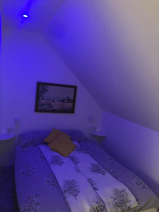 Holiday House Apartments Dajcic Varasdfürdő Kültér fotó