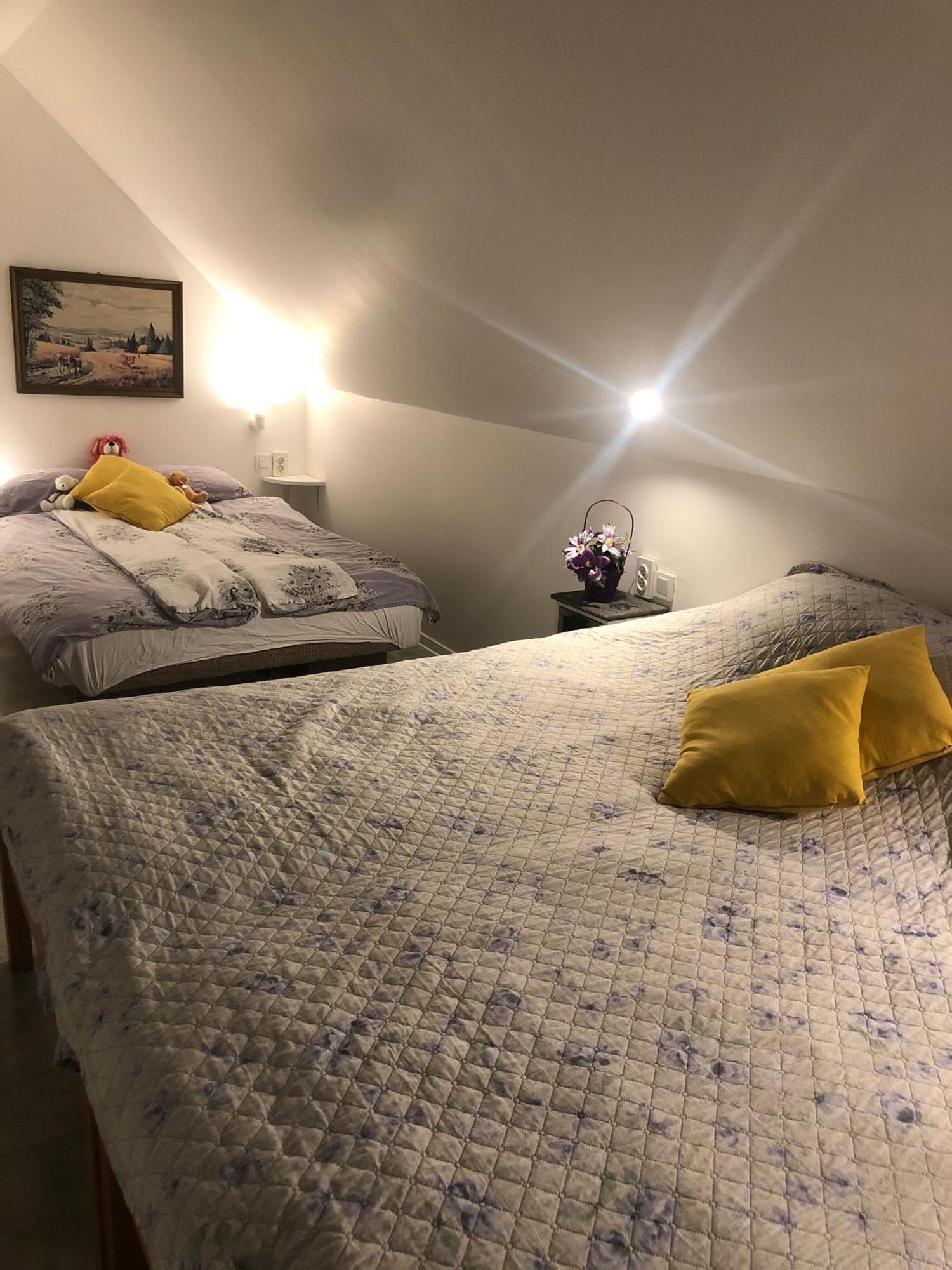 Holiday House Apartments Dajcic Varasdfürdő Kültér fotó